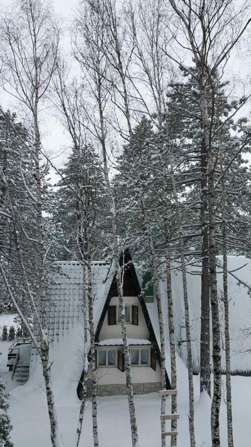 Ferienwohnung Zlatibor Apartman Asteri Exterior foto